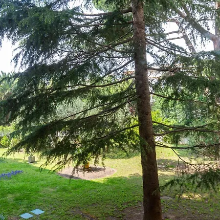 2-br 2 Minutes From The Parking Cannes